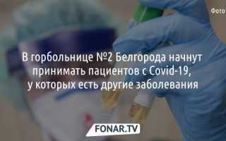 Экс-гендиректор белгородской «Зеленой долины» Сергей Алтухов пытается оспорить свое отстранение